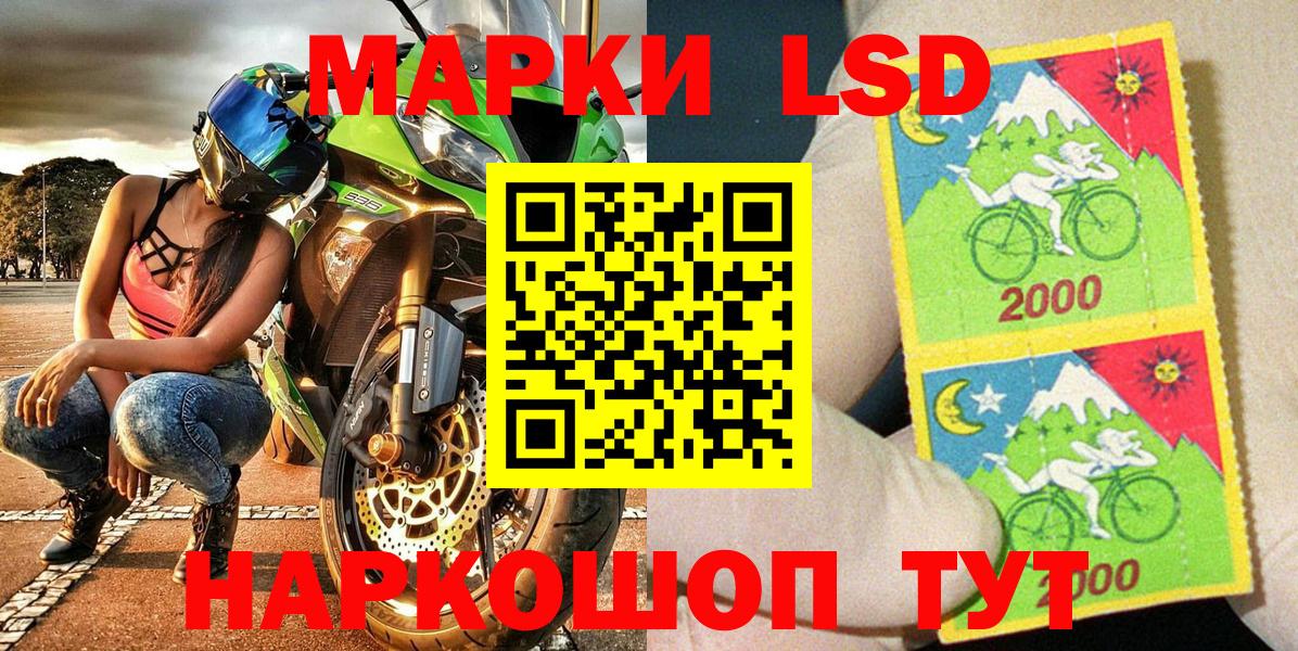 Меф Долгопрудный