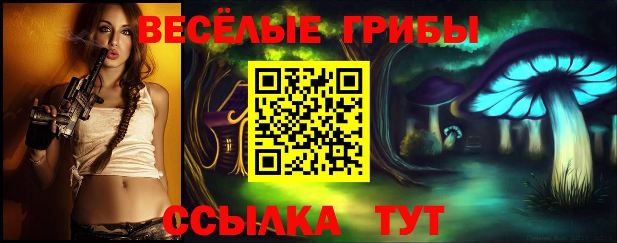 Долгопрудный  Галлюциногенные грибы мицелий  где купить наркоту  Вход с VPN 